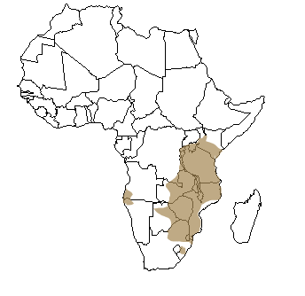 Répartition géographique de l'impala en Afrique