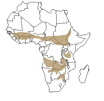 Répartition géographique de l'antilope chevaline en Afrique