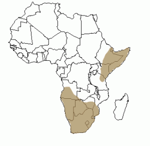 Répartition géographique du chacal à chabraque en Afrique