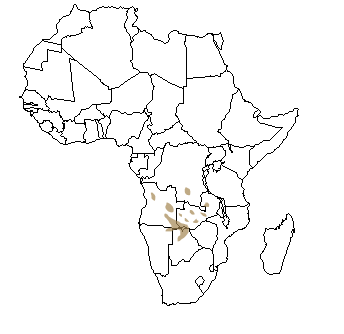 Répartition géographique du cobe de Lechwe en Afrique