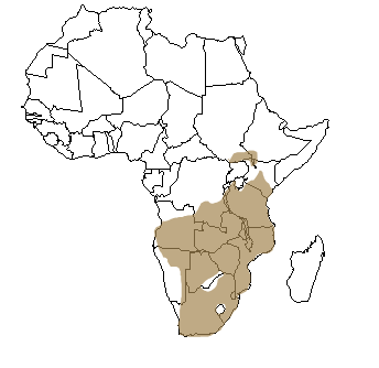Répartition géographique de l'éland en Afrique