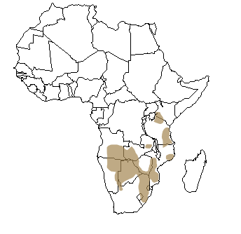 Répartition géographique du gnou en Afrique
