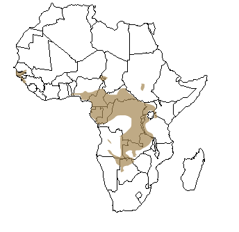 Répartition géographique du guib d'eau en Afrique