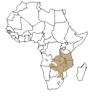 Répartition géographique de l'hippotrague noir en Afrique