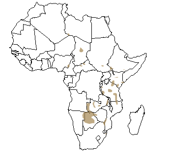 Répartition géographique du lycaon en Afrique