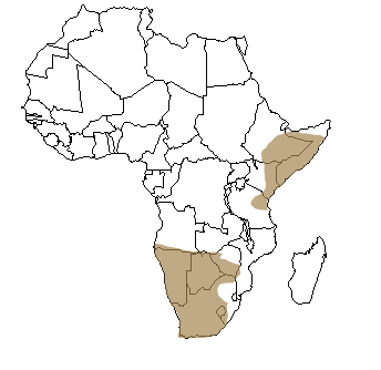 Répartition géographique de l'otocyon en Afrique