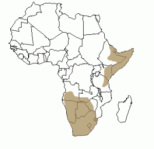 Répartition géographique du protèle en Afrique