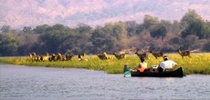 Voyage de noces safari en canoe