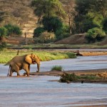 La rivière du parc national de Samburu, Kenya