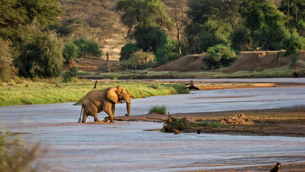 La rivière du parc national de Samburu, Kenya
