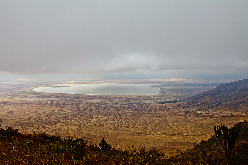 Le cratère de N’Gorongoro, Tanzanie
