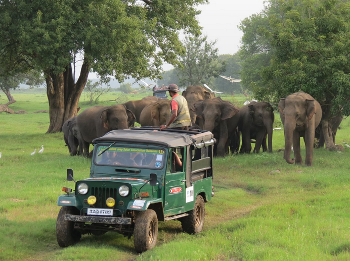 Safari en 4x4 au Sri-Lanka