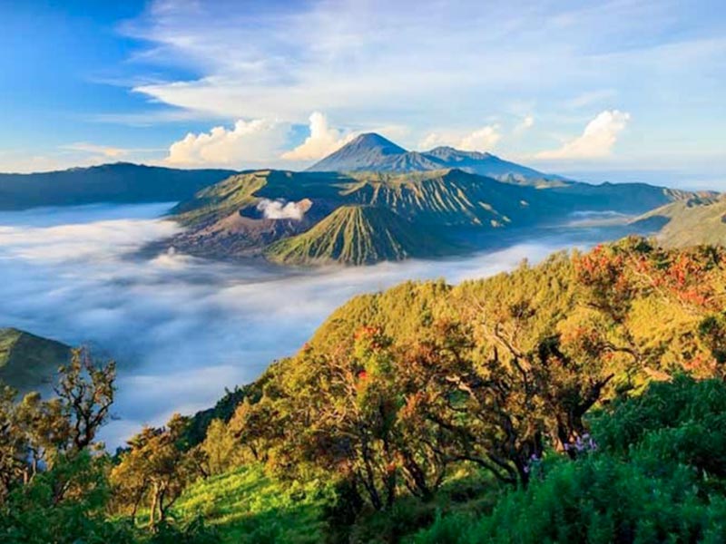 Volcan Bromo, Indonésie